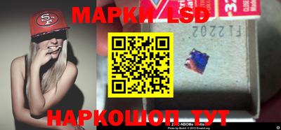 гидропоника Волжск