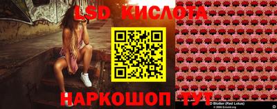 spice Берёзовский