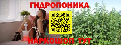 spice Берёзовский